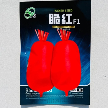 萝卜种子红皮白肉脆红萝卜种籽早秋保护地露地种植