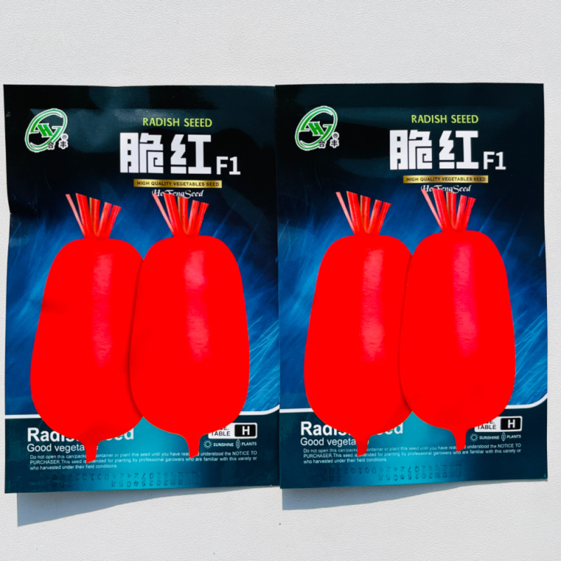 萝卜种子红皮白肉脆红萝卜种籽早秋保护地露地种植
