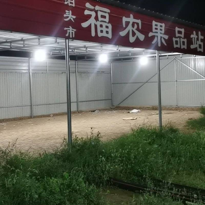 皇冠梨