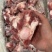 满肉前棒骨