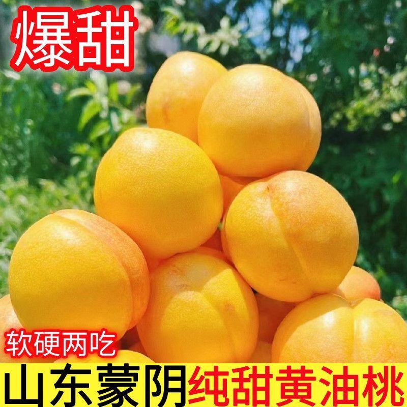 山东蒙阴黄油桃一件代发新鲜水果应季黄油桃脆甜黄肉桃子