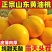 山东蒙阴黄油桃一件代发新鲜水果应季黄油桃脆甜黄肉桃子