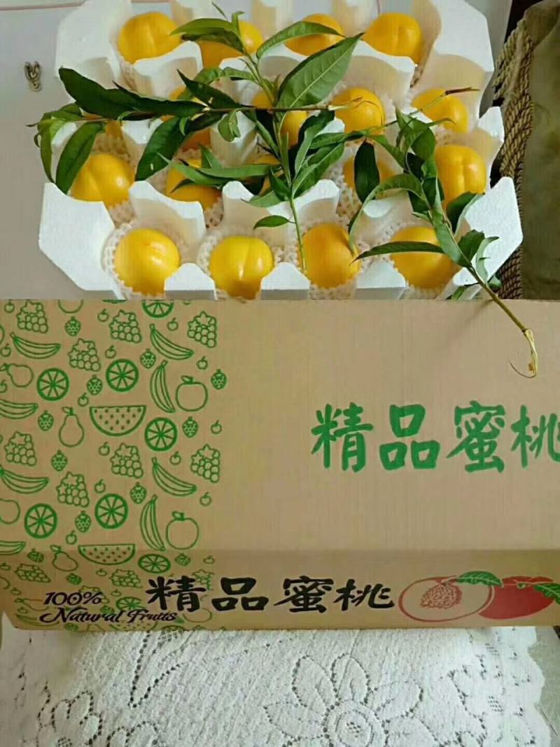 山东蒙阴黄油桃一件代发新鲜水果应季黄油桃脆甜黄肉桃子