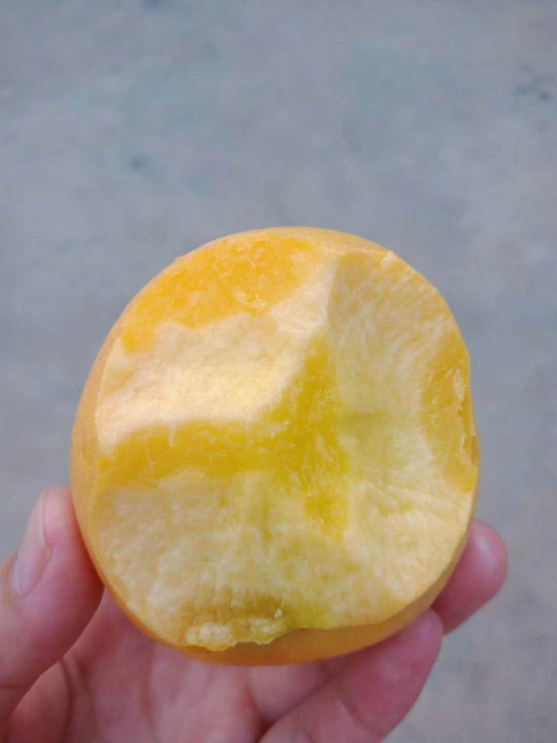 山东蒙阴黄油桃一件代发新鲜水果应季黄油桃脆甜黄肉桃子
