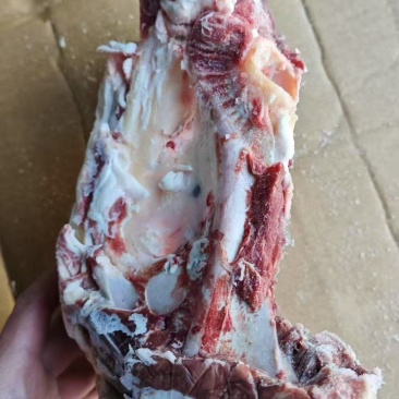 羊胯骨