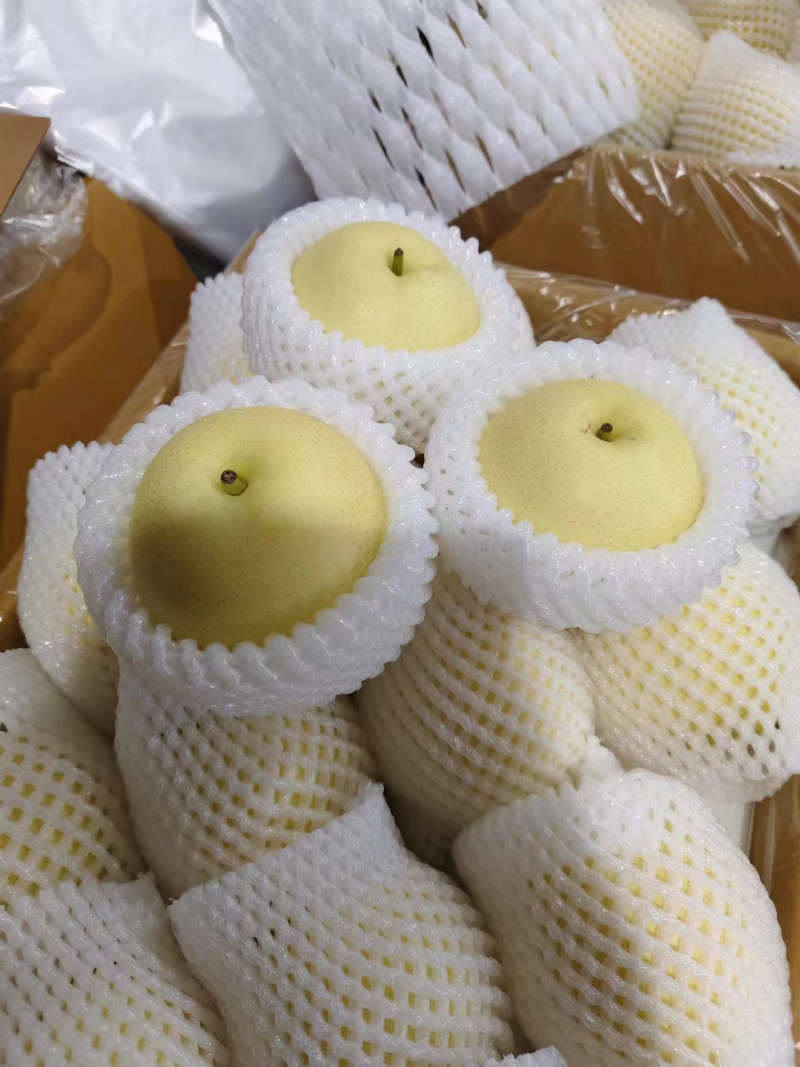精品皇冠梨/赵县皇冠梨/河北赵县皇冠梨大量上市/随到随装