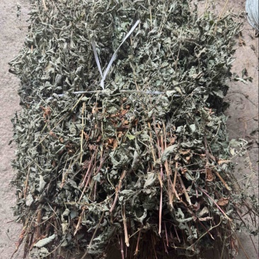仙鹤草野生仙鹤草干度好含量高切段产地直供量大从优