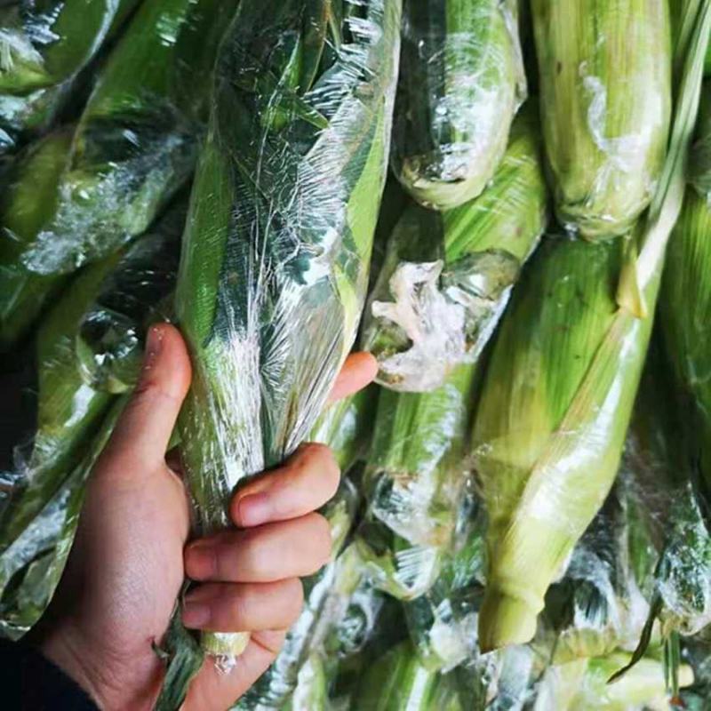 甜玉米水果玉米一件代发早餐玉米可生食水果玉米