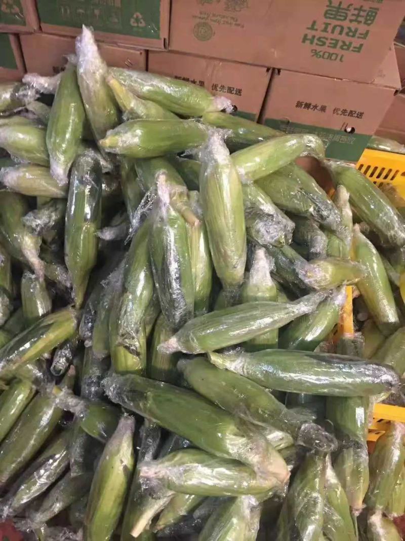 甜玉米水果玉米一件代发早餐玉米可生食水果玉米