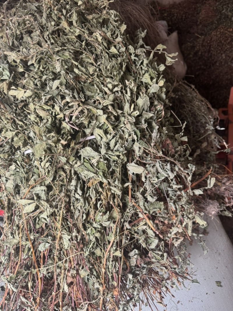 仙鹤草野生仙鹤草干度好含量高切段产地直供量大从优