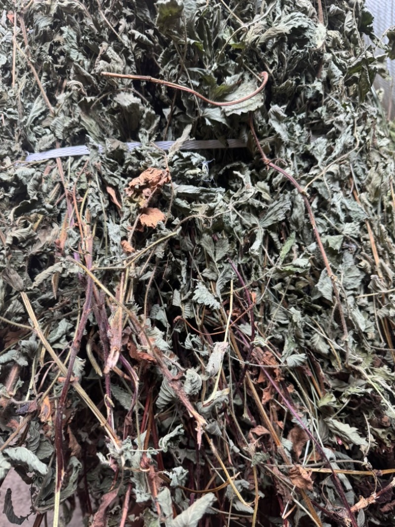仙鹤草野生仙鹤草干度好含量高切段产地直供量大从优