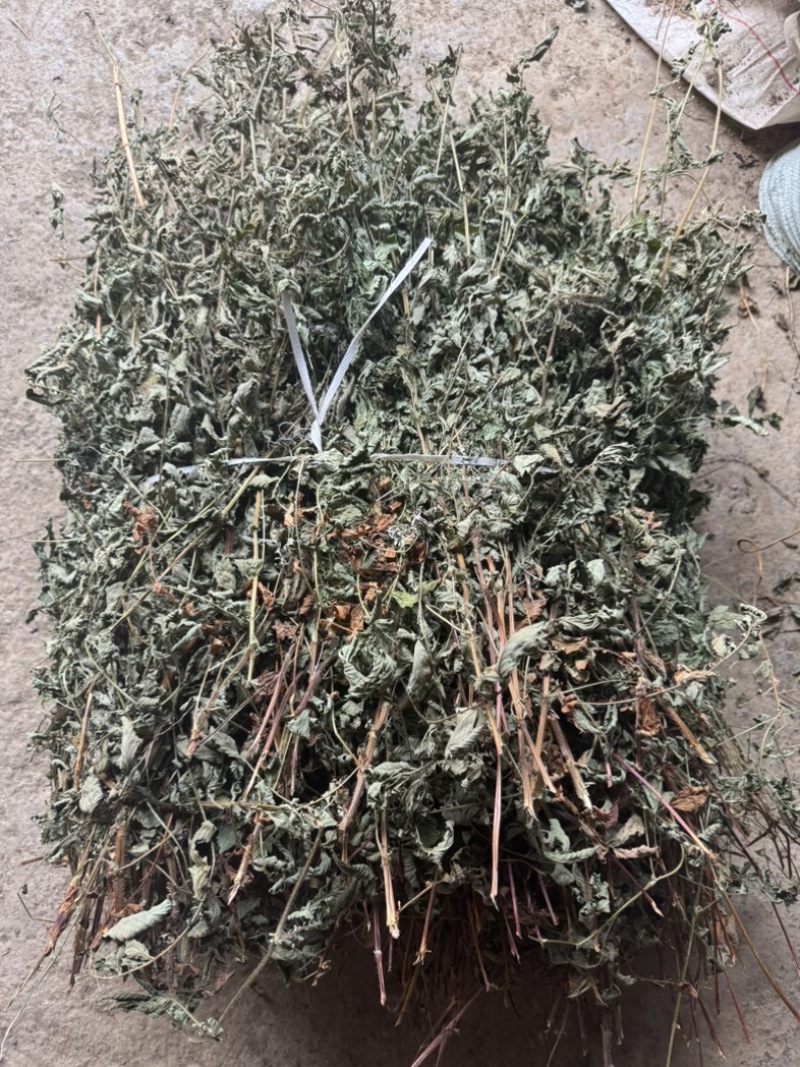 仙鹤草野生仙鹤草干度好含量高切段产地直供量大从优