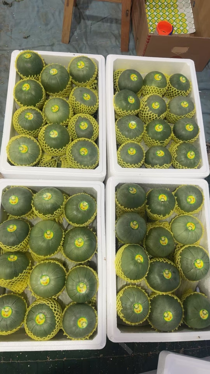 山东精品头茬绿宝石，电商，市场，超市，社区，加工厂，量大
