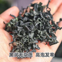 干精品裙带菜干货菜类凉拌海带海白菜低脂宝干裙免洗
