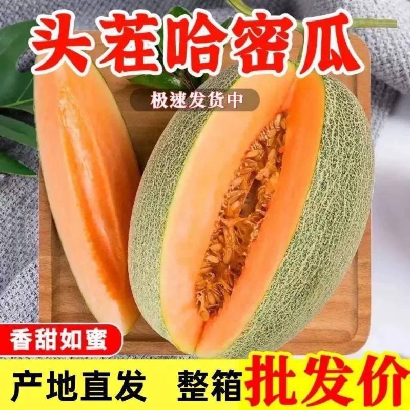 哈密瓜一件代发爆甜西州蜜新鲜水果应季