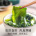干精品裙带菜干货菜类凉拌海带海白菜低脂宝干裙免洗