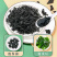 干精品裙带菜干货菜类凉拌海带海白菜低脂宝干裙免洗