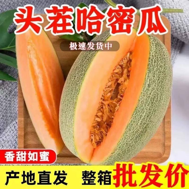 哈密瓜一件代发爆甜西州蜜新鲜水果应季
