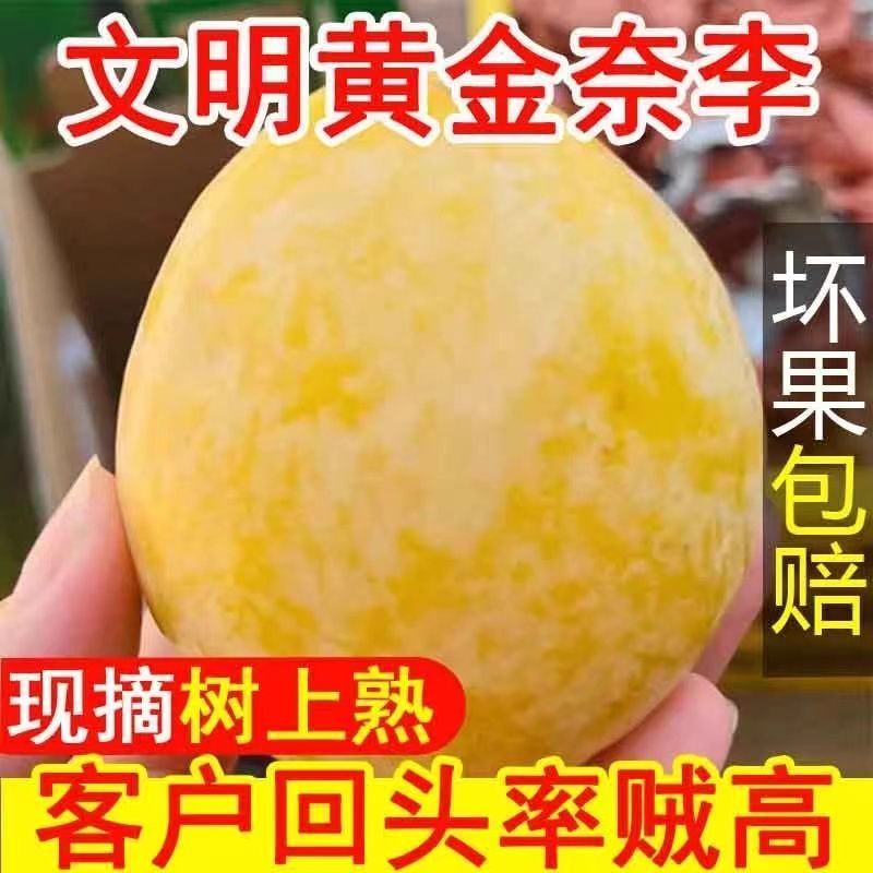 湖南文明特产黄金奈李脆甜多汁脱骨蜂糖李自己果园现摘现发