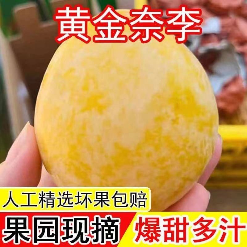 湖南文明特产黄金奈李脆甜多汁脱骨蜂糖李自己果园现摘现发