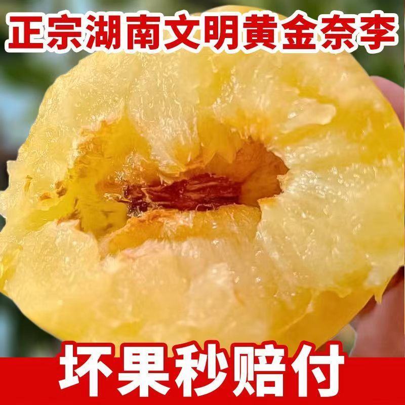 湖南文明特产黄金奈李脆甜多汁脱骨蜂糖李自己果园现摘现发