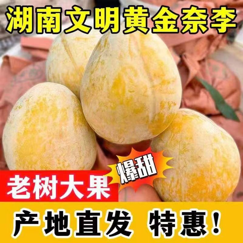 湖南文明特产黄金奈李脆甜多汁脱骨蜂糖李自己果园现摘现发