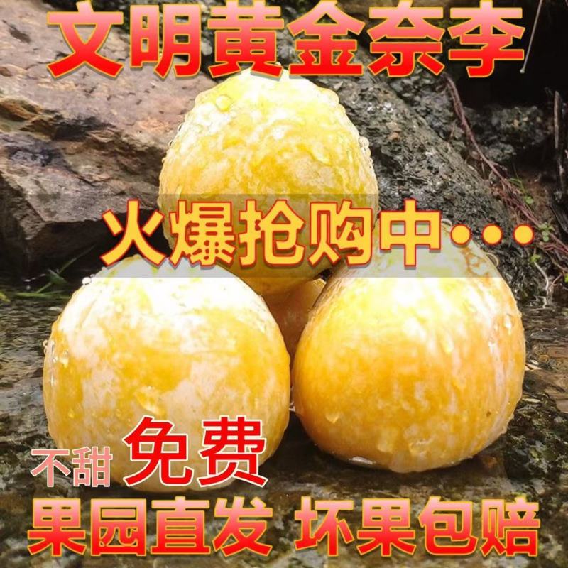 湖南文明特产黄金奈李脆甜多汁脱骨蜂糖李自己果园现摘现发