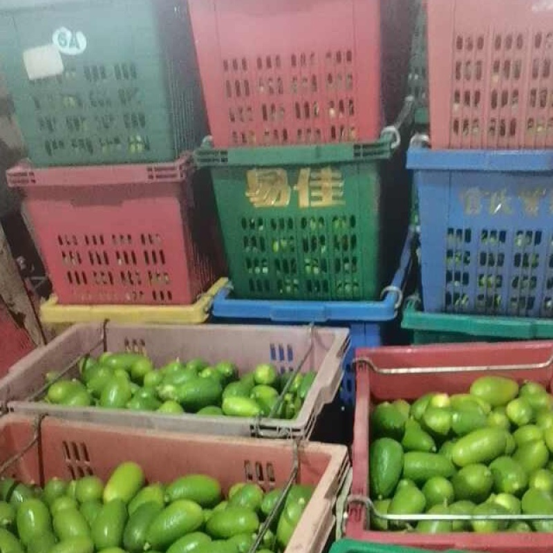 香水柠檬