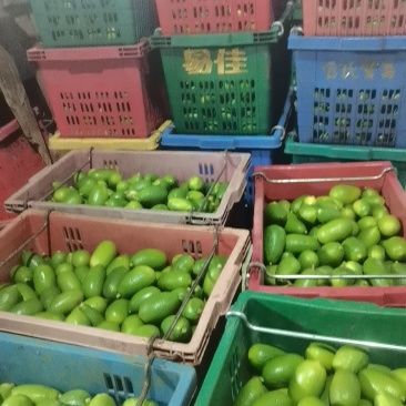 香水柠檬