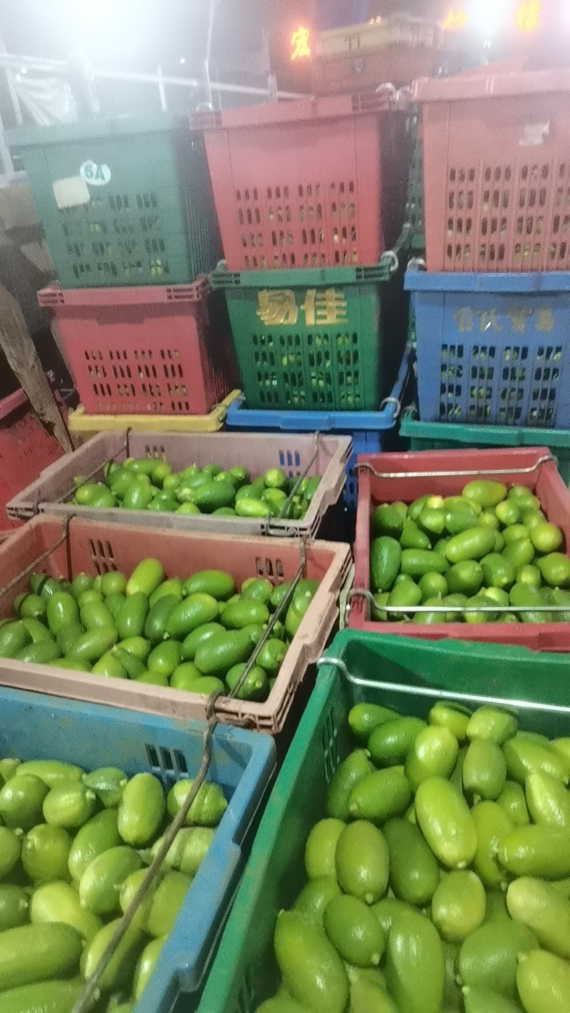 香水柠檬