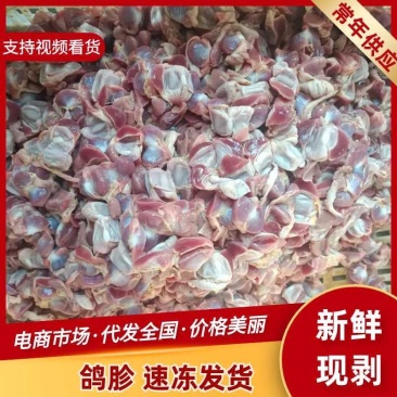 新鲜现剥鸽子胗烧烤用商用饭店批发一件代发量大优惠欢迎咨询