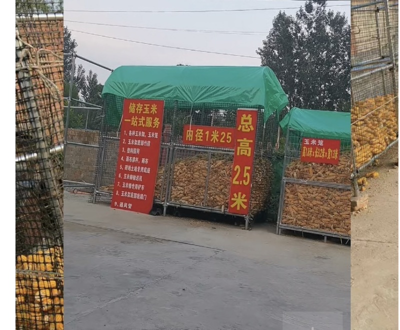 玉米架子，新型玉米架，玉米囤玉米储存围网，竹排