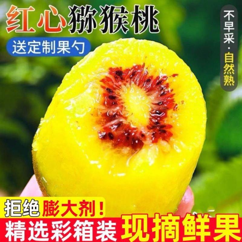 四川红心猕猴桃一件代发，其他规格可以定制联系
