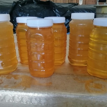 自家产的蜂蜜