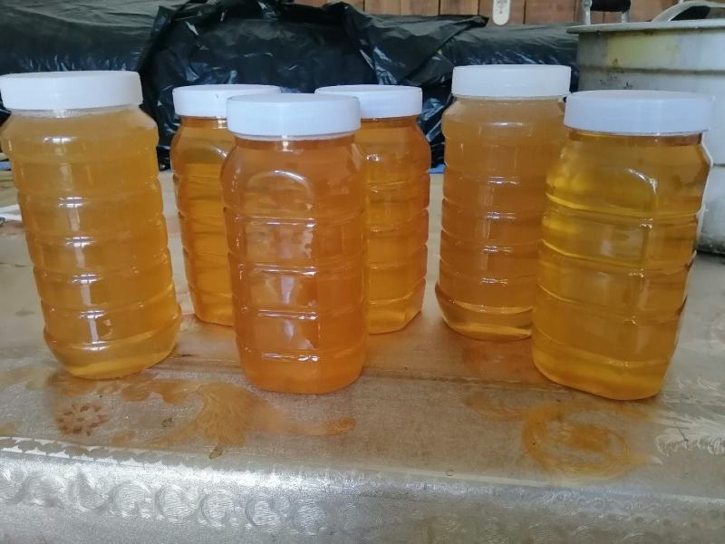 自家产的蜂蜜