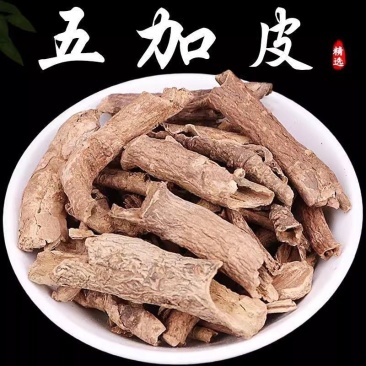 正品五加皮1公斤中药材正宗新鲜五加皮批发自然晒干各种