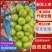 阳光玫瑰，河北葡萄园现货直发晴王无籽葡萄可视频看货