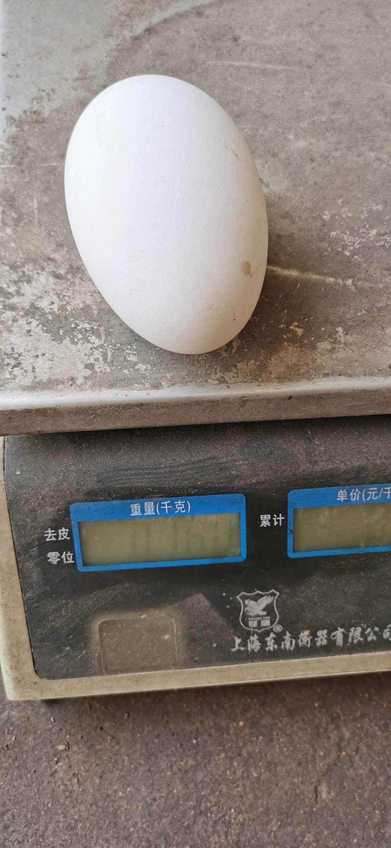 散养农村土鹅蛋【小贵】重量在120—170g