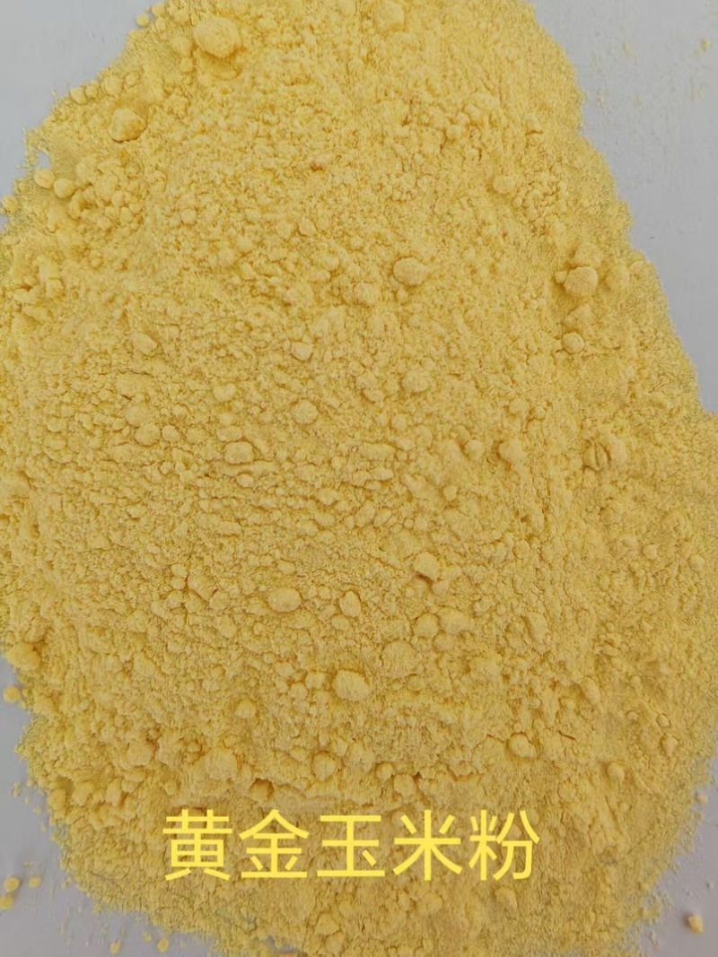 阳原玉米粉工厂直发，全国供应，诚信经营，可视频看货