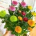 四季开花七彩色乒乓菊云南鲜花盆栽带花苞阳台客厅花卉好养易活