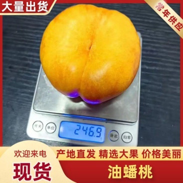 精品蟠桃4两起黄油蟠桃，河北黄桃大量上市，可视频看货