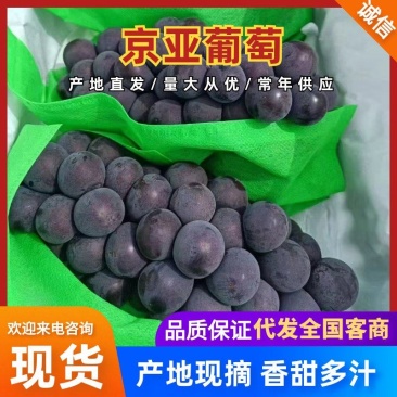 【葡萄】京亚葡萄沪太八号大量上市全国发货巨峰葡萄夏黑