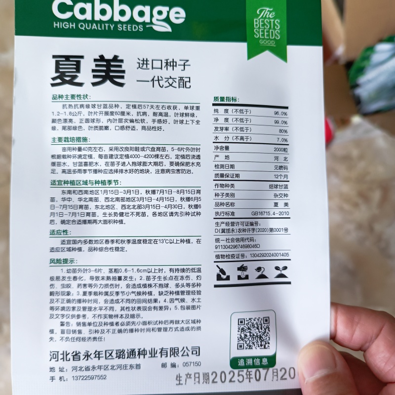 夏美甘蓝进口种子绿球圆球形抗热抗病全绿口感甜脆松软包菜春