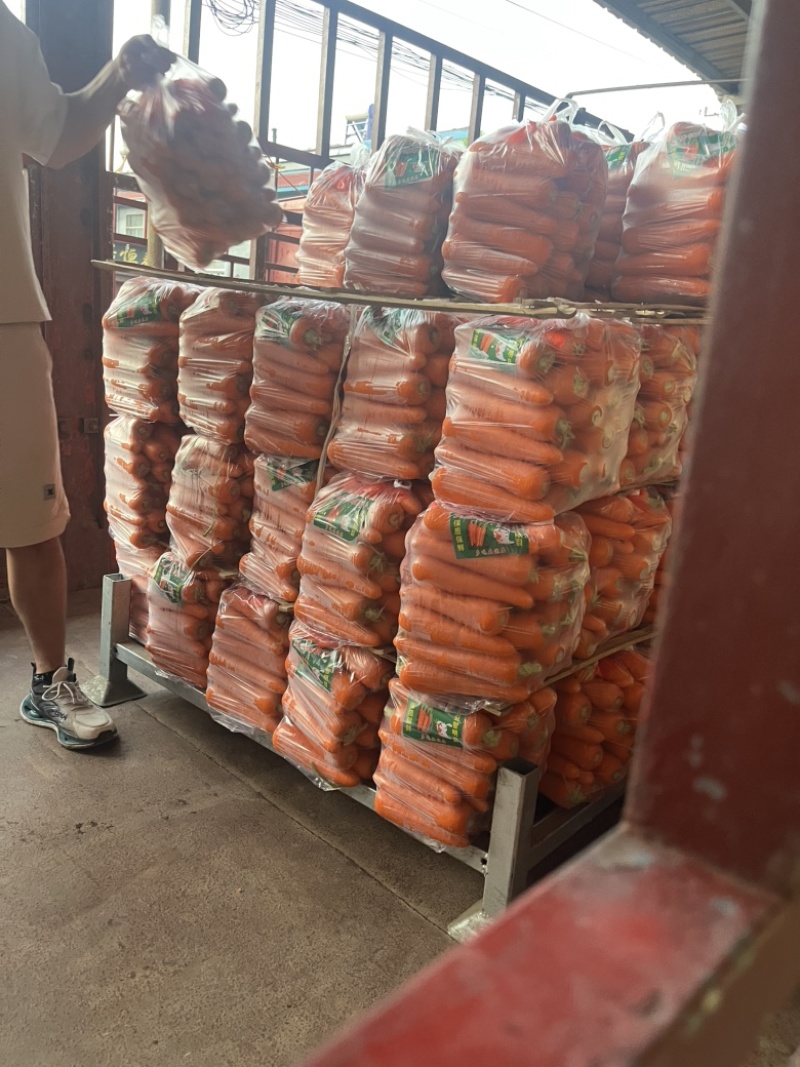精品胡萝卜，有日标货(农残合格）超市货，食堂货，中亚货