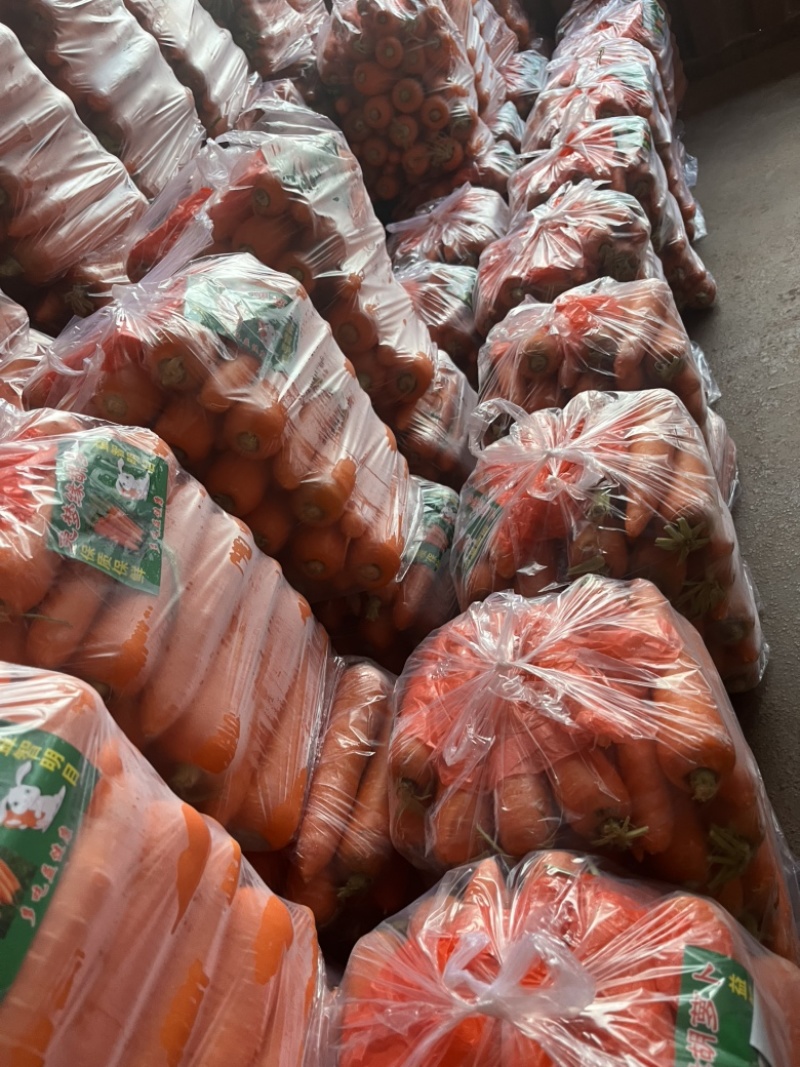精品胡萝卜，有日标货(农残合格）超市货，食堂货，中亚货