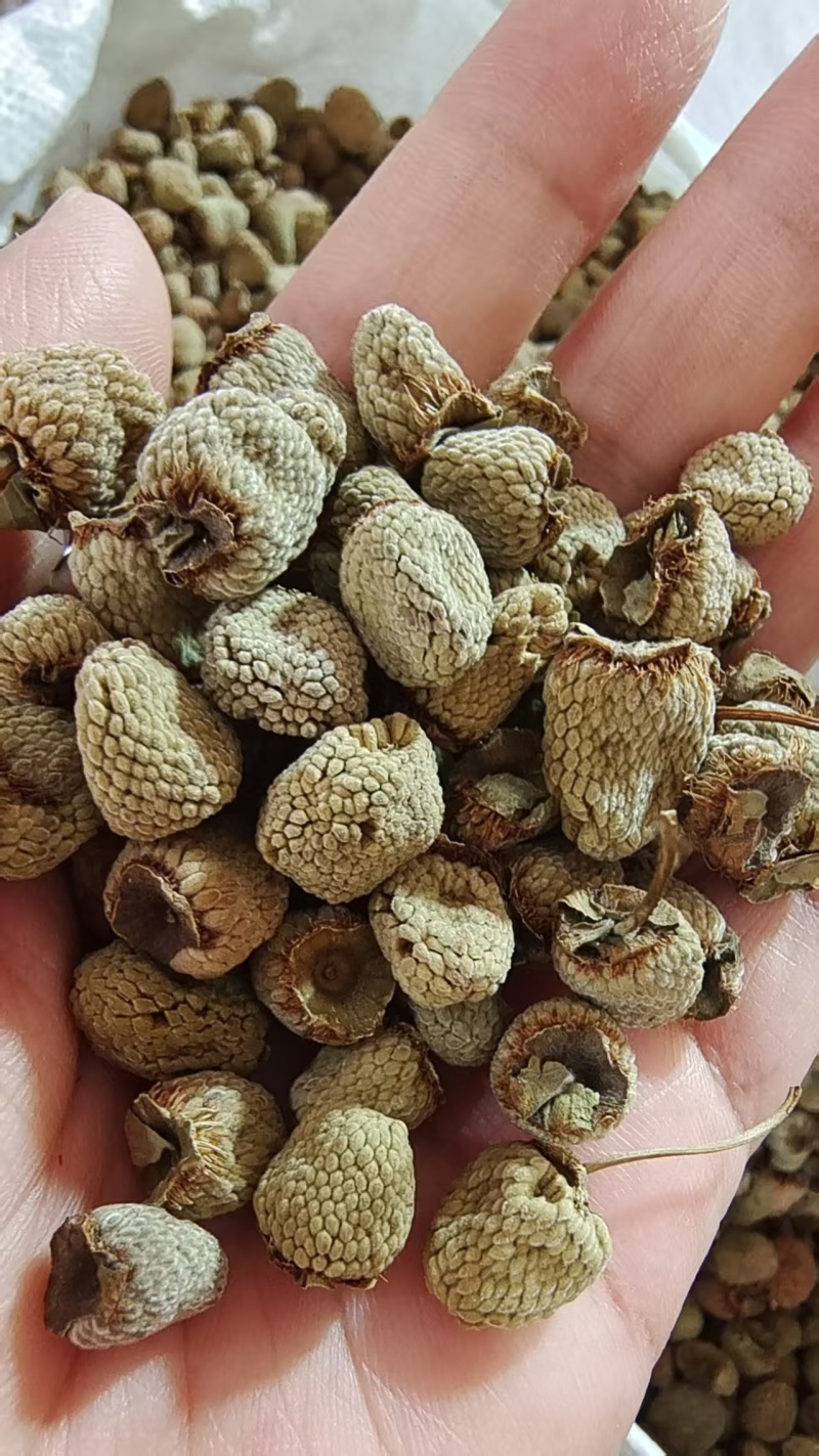 覆盆子选货大粒颜色好干货2斤包邮量大优惠