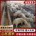 江苏湖羊常年供应品质保证量大从优可实地看货