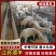 【湖羊】江苏湖羊养殖基地，全国供货，诚信经营，可视频看货