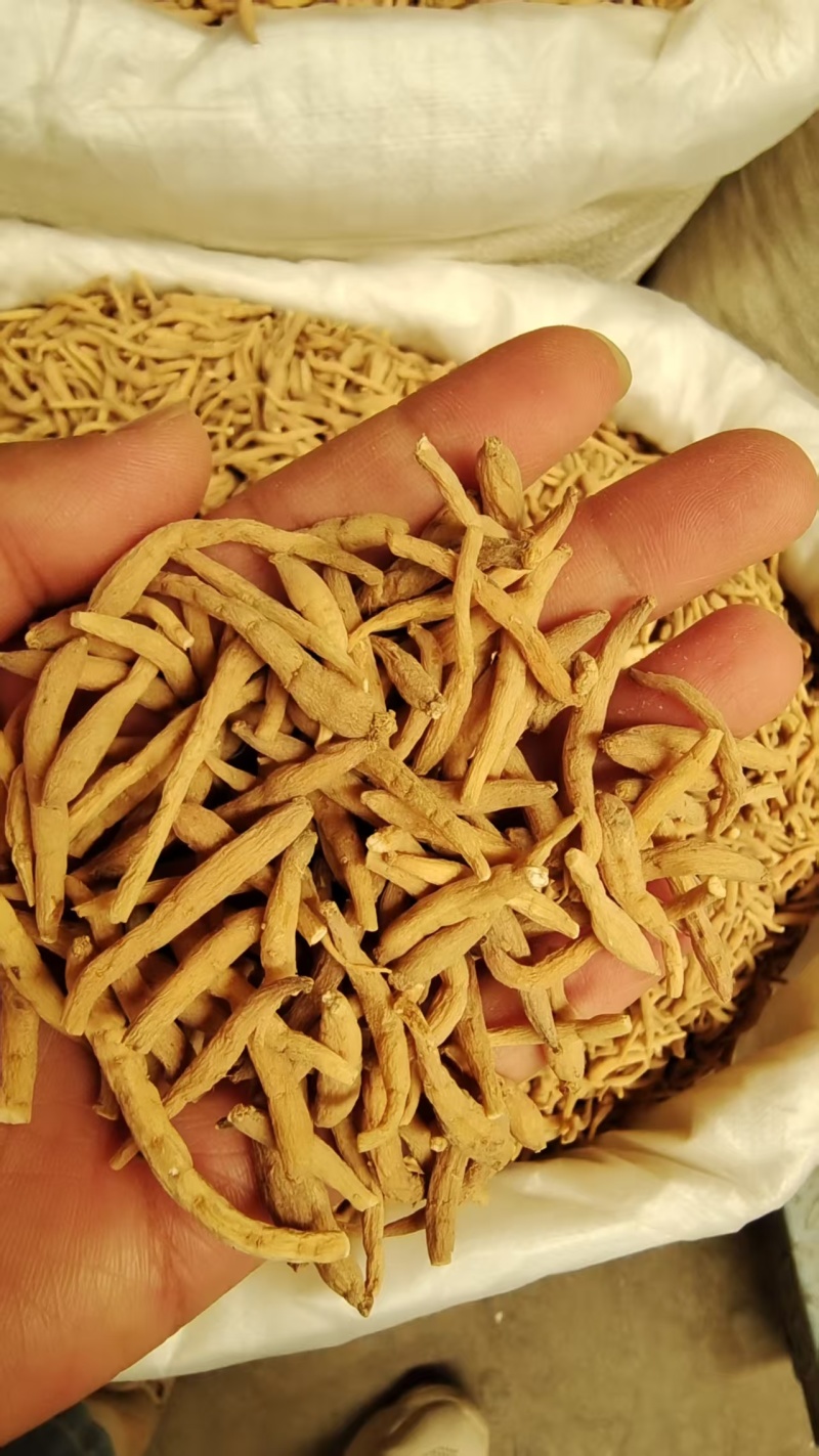 太子参选货各种规格2斤包邮量大优惠