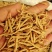 太子参选货各种规格2斤包邮量大优惠